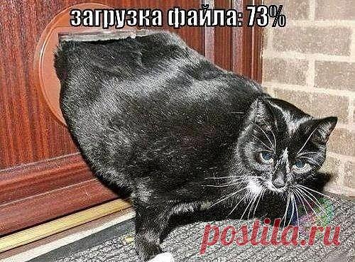 Загрузка файла