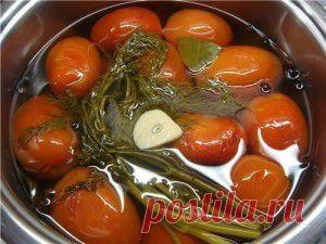 Помидоры суточные | Поварешечка - лучшие рецепты!