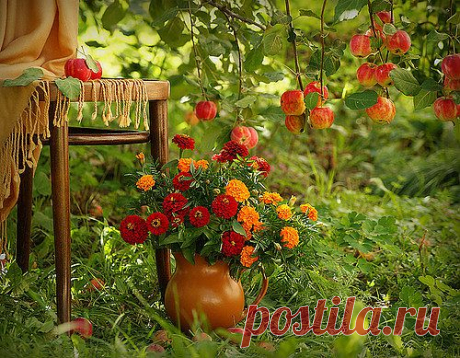 Мой Мир@Mail.Ru