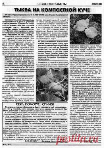 Тыква на компостной куче