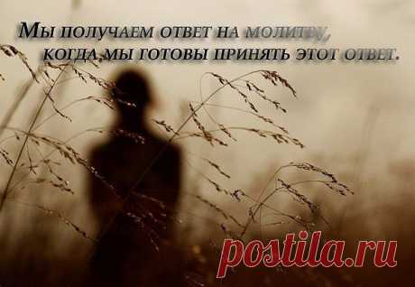 Настоящее христианство основано на заместительной жертве Христа. Религии недостаточно этой жертвы. Ей обязательно нужно добавить своих собственных дел для ее совершенства. Мы унижаем Христа когда говорим, что мы грешники и ничем не отличаемся от людей этого мира. Что для того, чтобы быть опраданными Богом, нам нужны собственные праведные дела. Еще хуже, когда люди по невежеству своему или сознательно, приносят в жертву за собственные грехи убивая животных