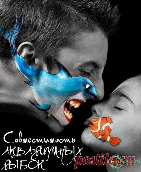 Совместимость аквариумных рыбок с другими рыбками