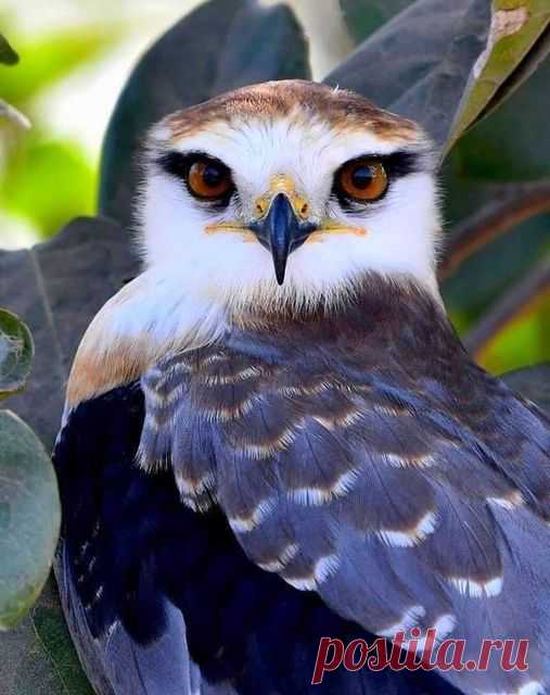 (20+) Carmo Martins | Facebook