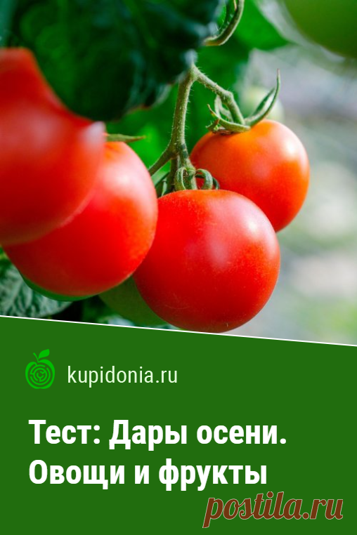 Тест: Дары осени. Овощи и фрукты. Развлекательный тест с картинками об овощах и фруктах, состоящий из 20 интересных вопросов.