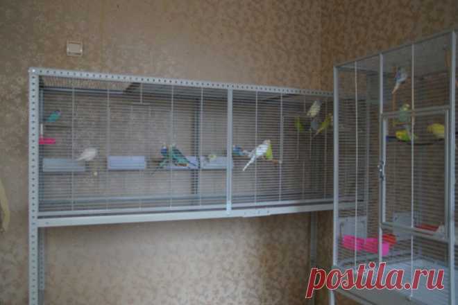 Самостоятельное изготовление клетки для попугая