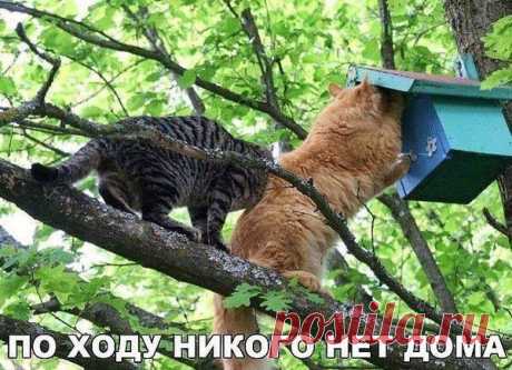 Интересные новости