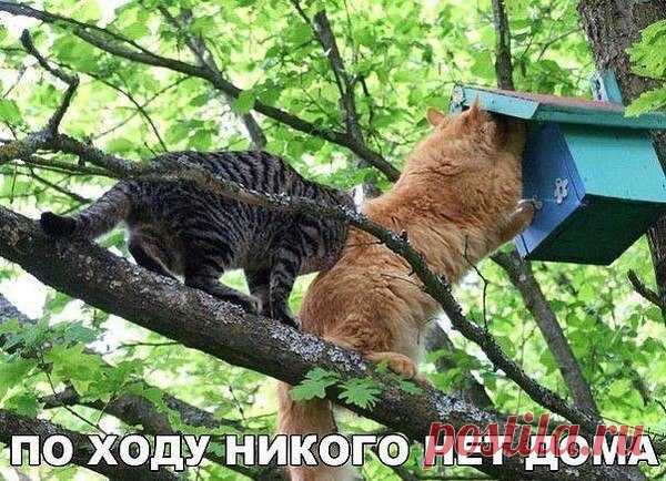 Интересные новости