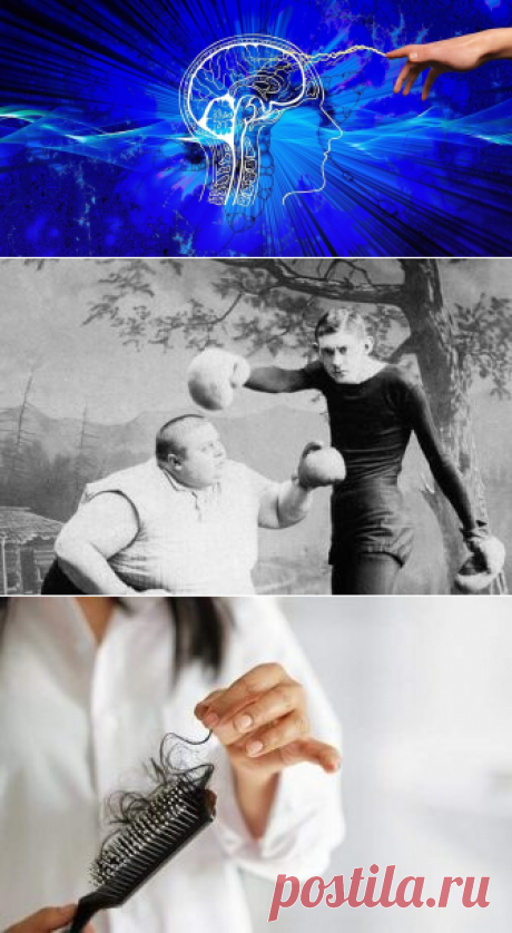 Обнаружена новая потенциальная стратегия лечения инсульта
Исследования, проведенные в Центре передового опыта нейробиологии LSU Health в Новом Орлеане, показывают, что комбинация запатентованного лекарства LSU Health и выбранных производных DHA более эффективна для защиты клеток мозга и ускорения восстановления после инсульта, чем одно лекарство. Результаты опубликованы в Brain Circulation.Во...
Читай дальше на сайте. Жми подробнее ➡