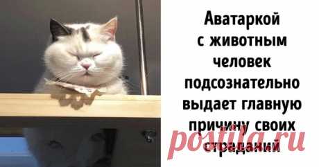 Что можно узнать о человеке, просто взглянув на его аватарку в социальной сети