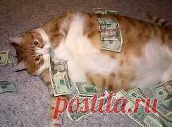 Одноклассники