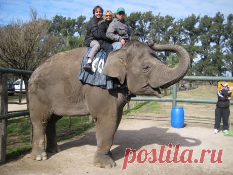 Самый опасный зоопарк в мире