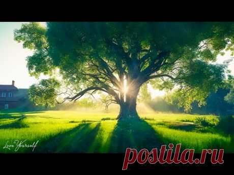 ВОССТАНОВЛЕНИЕ НЕРВНОЙ СИСТЕМЫ 🌿 Нежная музыка, успокаивает нервную систему и радует душу #51
