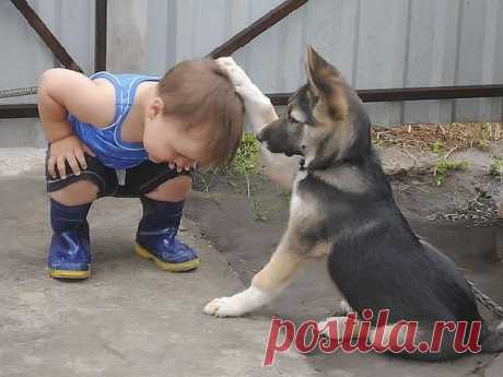 Посвящение в рыцари