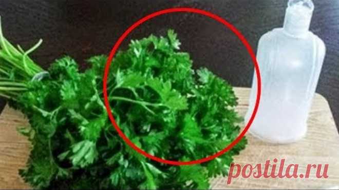 Он мыл этим свое лицо, а дочь не могла поверить в то, что теперь он выглядит моложе, чем она! Попрощ