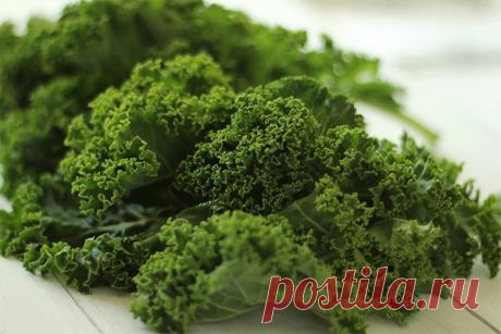 Секрет стройности голливудских звезд: капуста грюнколь (кале).