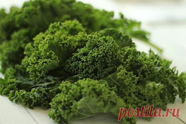 Секрет стройности голливудских звезд: капуста грюнколь (кале).