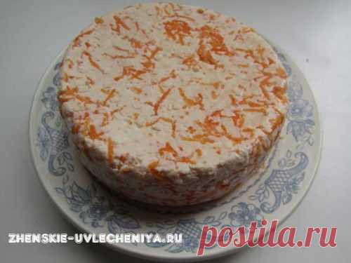 Рецепт простого домашнего сыра из молока с морковью – простой яркий завтрак