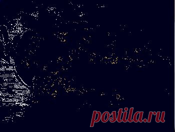 Капустные шницели