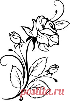 http://media-cache-ec0.pinimg.com/originals/1d/18/3a/1d183a26e5b5c0e3952685f90e278fd9.jpg