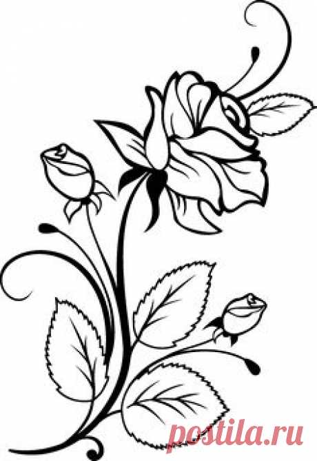 https://media-cache-ec0.pinimg.com/originals/1d/18/3a/1d183a26e5b5c0e3952685f90e278fd9.jpg
