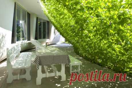 Green Screen House | Home Design, Garden & Architecture Blog Magazine