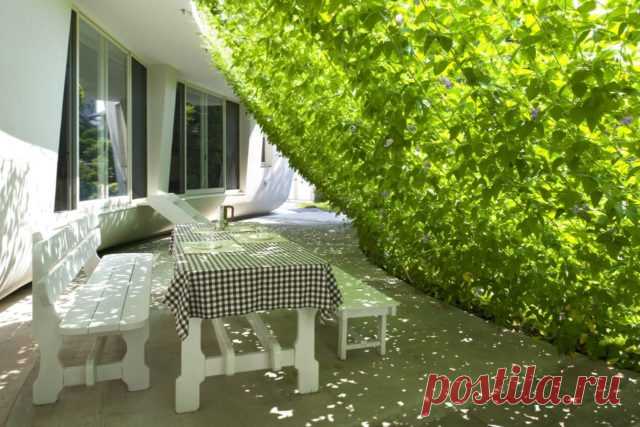 Green Screen House | Home Design, Garden & Architecture Blog Magazine