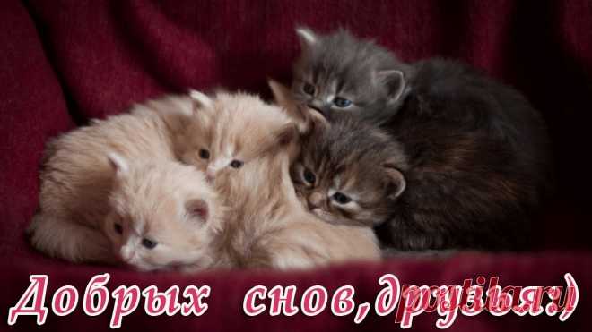 Мой Мир@Mail.Ru