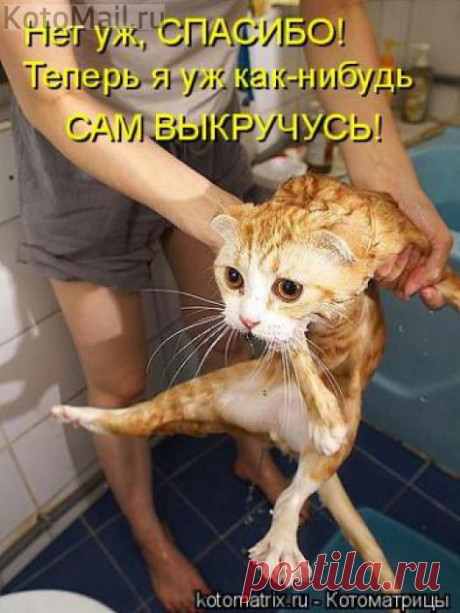 Спасибо,сам выкручусь. и другие материалы. Новое в Вашей подборке на Постиле - ira-yar-kuz@mail.ru - Почта Mail.Ru