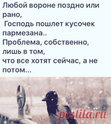 Стишки-пирожки VS Стишки-порошки.Посмеёмся вместе! — Стишки-пИрошки в картинках | OK.RU