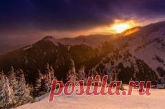 Сегодня 20 декабря отмечается 