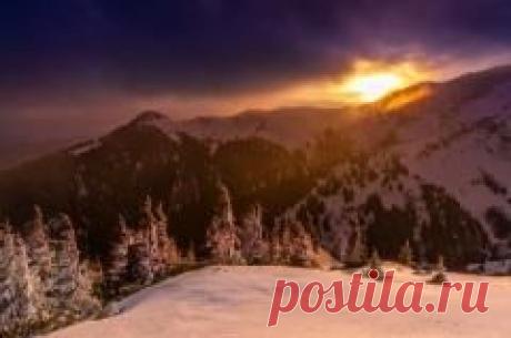 Сегодня 20 декабря отмечается "Йоль"