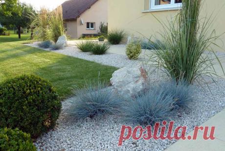 Овсяница метельчатая – как за ней ухаживать после зимы. Овсяница украсит сад, но нуждается в правильном уходе