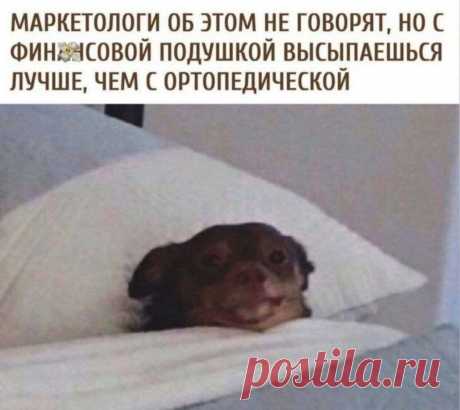 У всех бабушек лежали маленькие сугробы на шапках. Все сидели с семечками, а у последней было денежное деревце. И плакатик фломастером на картонке:"Магнит для денег".
Мимо такого я пройти не могла.
- Сколько стоит этот невзрачный крысиный хвостик? - как можно более равнодушным голосом спросила я и тыкнула в деревце пальцем.
Всём известно, что нельзя выдавать интереса, а то можно переплатить.
- Сама ты крысиный хвостик! - парировала старушка.
Потом внимательно окинула меня ...