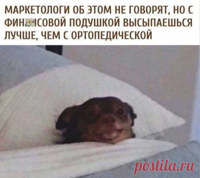 У всех бабушек лежали маленькие сугробы на шапках. Все сидели с семечками, а у последней было денежное деревце. И плакатик фломастером на картонке: