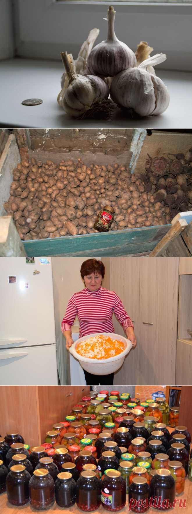 Наши запасы на зиму / Конкурс дачных рецептов / 7dach.ru