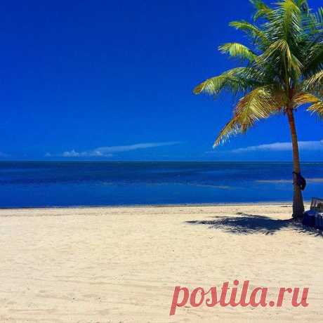 Чем меньше окружающие знают о твоей личной жизни, тем удачнее она складывается. / Понимание бизнеса