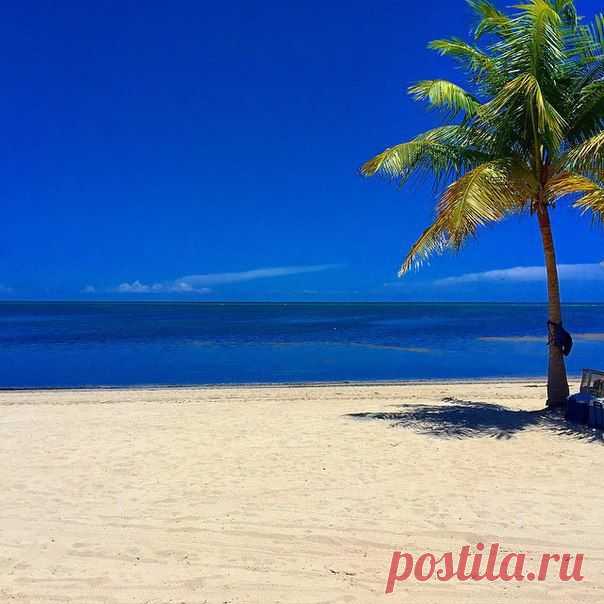 Чем меньше окружающие знают о твоей личной жизни, тем удачнее она складывается. / Понимание бизнеса