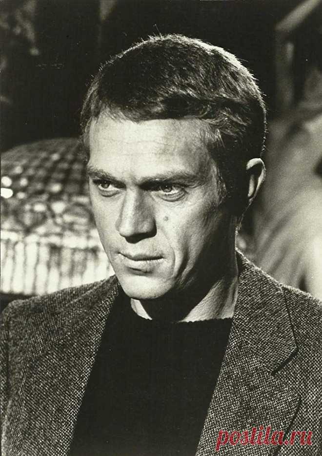 Стив МакКуин