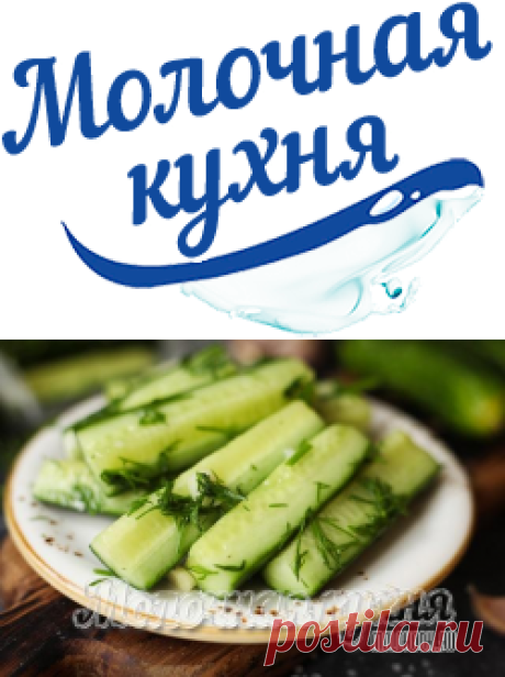 Малосольные огурцы в пакете – 7 самых быстрых рецептов с чесноком и укропом