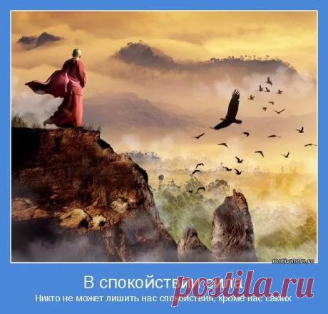 Делайте с этим, что хотите