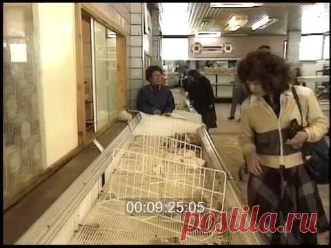 Московский универсам в 1991 году Любительская съемка из продуктового магазина Москвы, сделанная в 1991 году. Ассортимент продуктов и цены заставляют задуматься о многом.