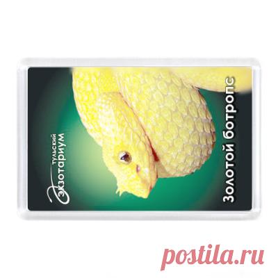 Магнит Магнит 7,5x5,15 см - Тульский экзотариум, зоопарк