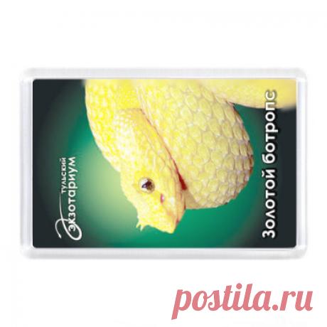 Магнит Магнит 7,5x5,15 см - Тульский экзотариум, зоопарк