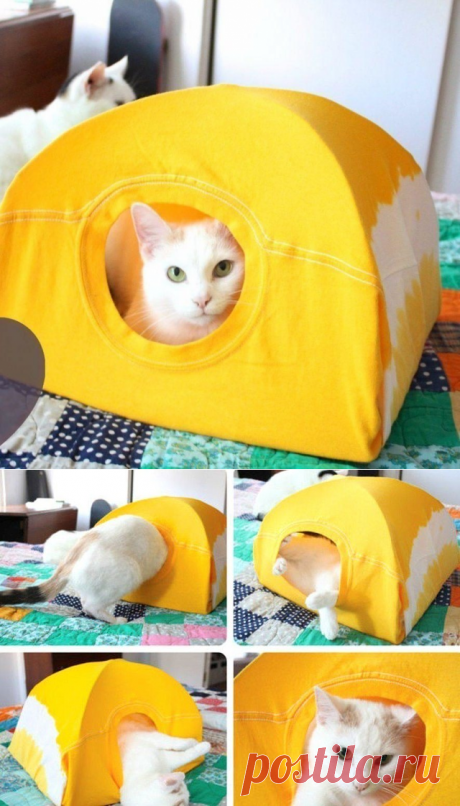 (8) Одноклассники