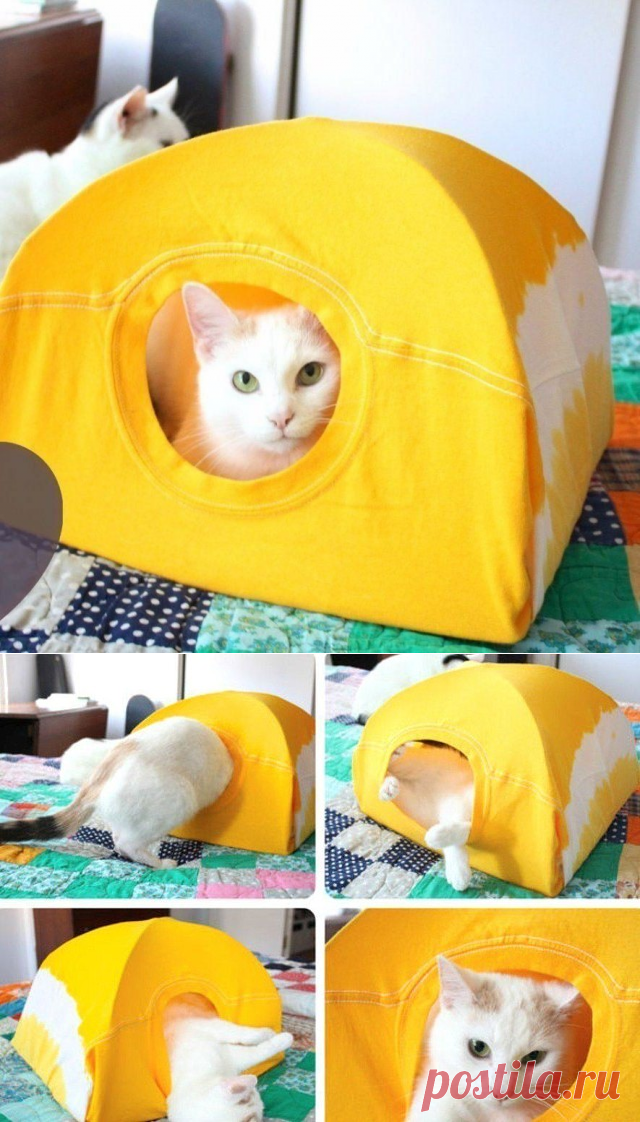 (8) Одноклассники