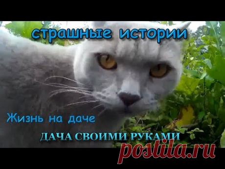 УЖАС! | Ночной ужас на даче (Страшные истории на ночь)