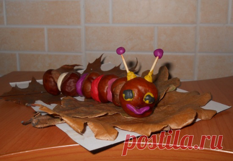 Поделки с детьми: забавная гусеница из каштанов | karapysik.ru