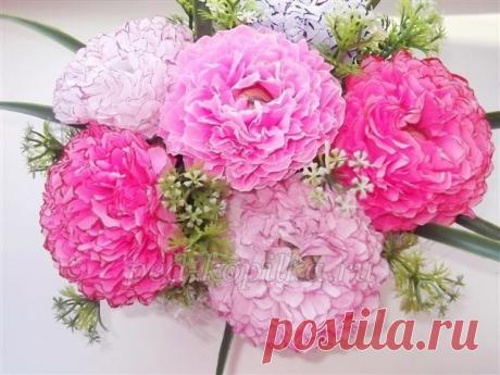 ​Сладкие пионы "Алёнка"