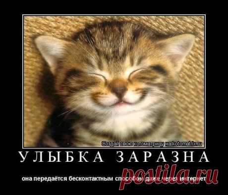 Мой Мир@Mail.Ru