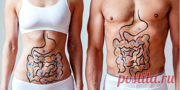 Как естественно решать проблемы с пищеварением / Будьте здоровы